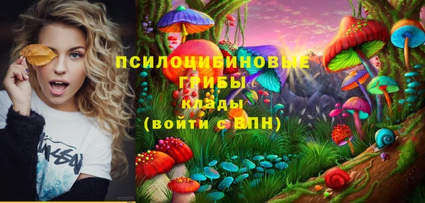 винт Елабуга