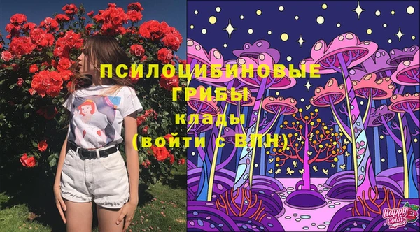 соль курить ск Елизово