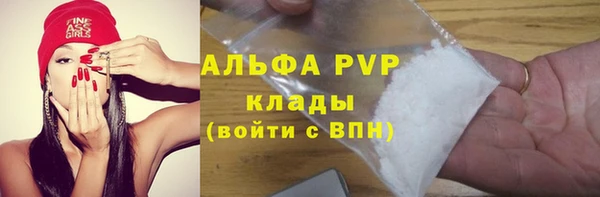 винт Елабуга