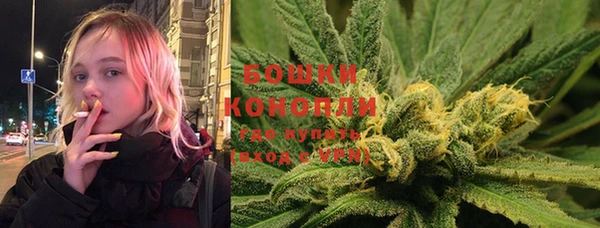 экстази Ельня