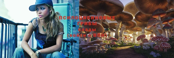 винт Елабуга
